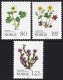 (image for) 1979 Flowers