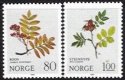 (image for) 1980 Flowers