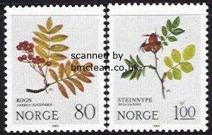 (image for) 1980 Flowers