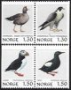 (image for) 1981 Birds