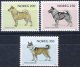 (image for) 1983 Dogs