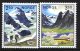 (image for) 1983 Nordic - Scenery