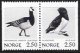 (image for) 1983 Birds