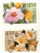 (image for) 2001 Roses I