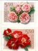 (image for) 2001 Roses (2nd series)