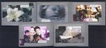 (image for) 2003 Occasions