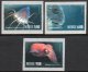 (image for) 2004 Marine Life I