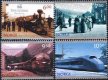 (image for) 2004 Norwegian Railways