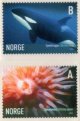 (image for) 2005 Marine Life II (Coil)