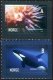 (image for) 2005 Marine Life II (From Sheets)