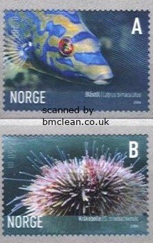 (image for) 2006 Marine Life IV