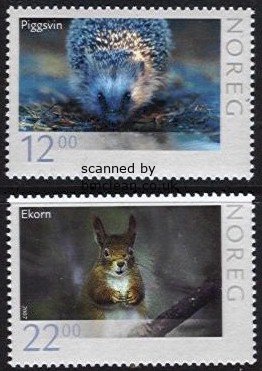 (image for) 2007 Wildlife