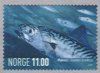 (image for) 2007 Marine Life V