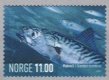 (image for) 2007 Marine Life V