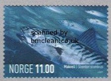 (image for) 2007 Marine Life V