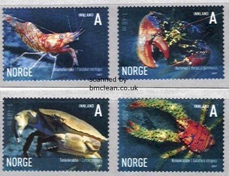 (image for) 2007 Marine Life VI