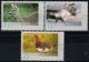 (image for) 2009 Wildlife IV