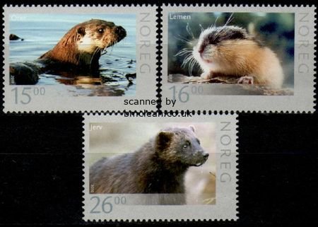 (image for) 2010 Wildlife V