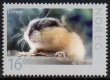 (image for) 2010 Lemming (S/A)
