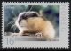 (image for) 2010 Lemming (S/A)