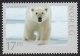 (image for) 2011 Polar Bear (Perf 14)