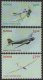 (image for) 2012 Aviation Centenary