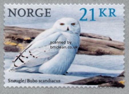 (image for) 2018 Birds - Snowy Owl