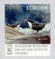 (image for) 2019 Europa/ Birds