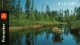 (image for) 1998 Insects II (Booklet)