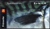 (image for) 2000 Herring & Mackerel (Booklet)