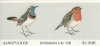 (image for) 1982 Birds (20 Kr)