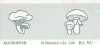 (image for) 1989 Fungi III (Booklet)