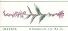 (image for) 1990 Orchids I (Booklet)