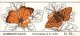 (image for) 1994 Butterflies II (Booklet)