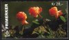 (image for) 1996 Wild Berries II (Booklet)