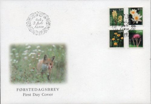 (image for) 2000 Flowers Definitive