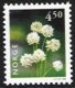 (image for) 4 Kr 50 White Clover
