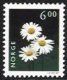 (image for) 6 Kr Ox-eye Daisy