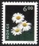 (image for) 6 Kr Ox-eye Daisy