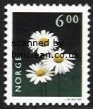 (image for) 6 Kr Ox-eye Daisy