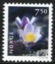 (image for) 7 Kr 50 Pale Pasque Flower