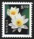 (image for) 8 Kr White Water Lily