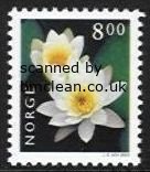 (image for) 8 Kr White Water Lily