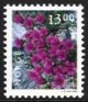 (image for) 13 Kr Purple Saxifrage