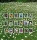 (image for) Norway Flowers Folder