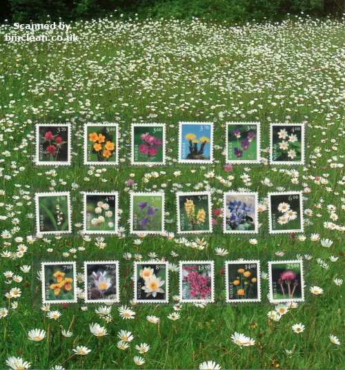 (image for) Norway Flowers Folder