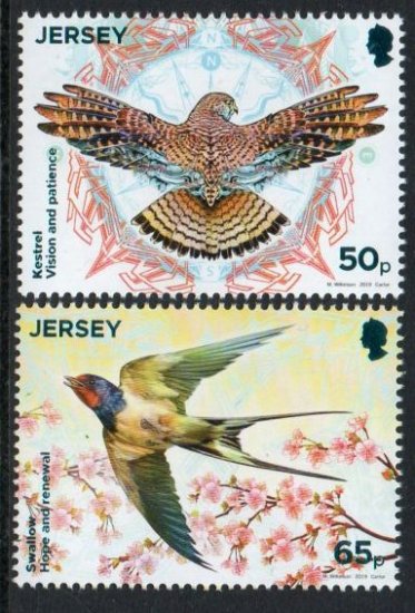 (image for) 2019 Birds - Swallow & Kestrel