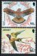 (image for) 2019 Birds - Swallow & Kestrel