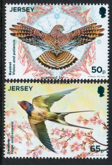 (image for) 2019 Birds - Swallow & Kestrel