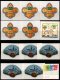 (image for) 1973 Tonga Scouting Jubilee Short Set